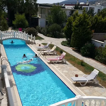Pedesa Homes